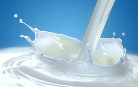 Die Milch macht´s nicht