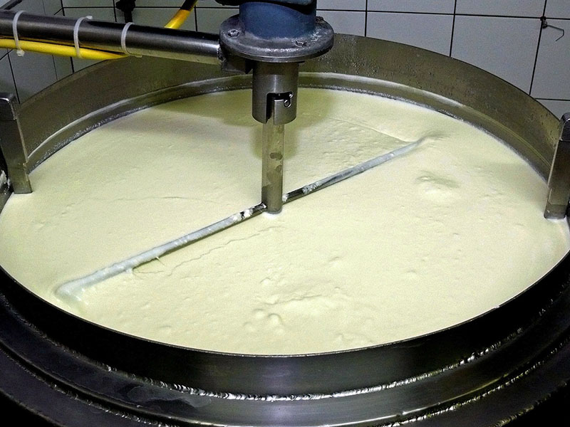 WTO Milch 5