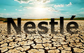 images/stories/News/ID300/WTO-Drre-Nestle-Arrowhead-Califonien