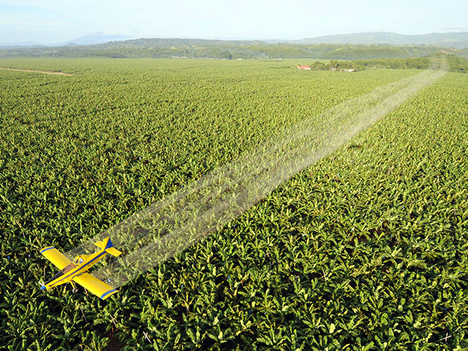 Flugzeug-versprüht-Glyphosat-über-Felder