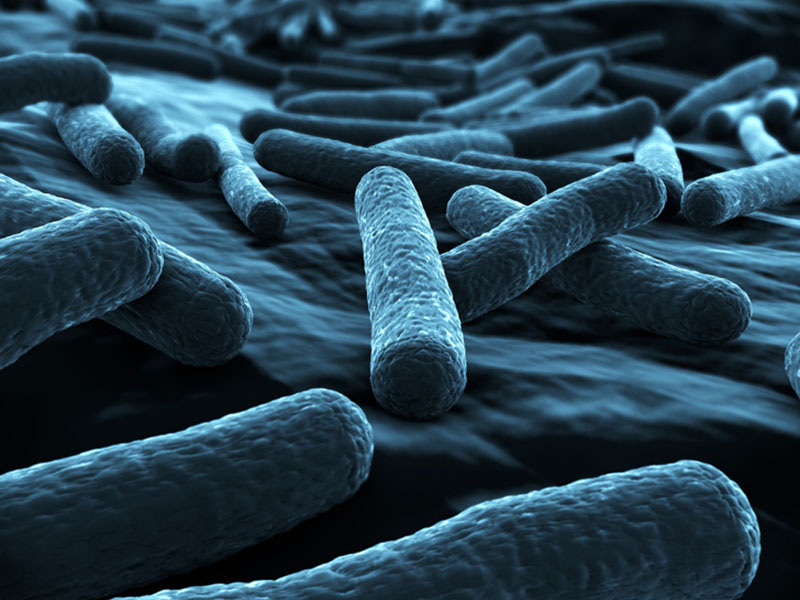 E-Coli