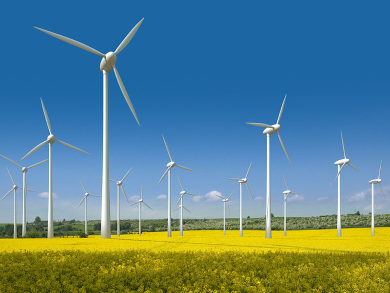 Feld mit Windkraftanlagen