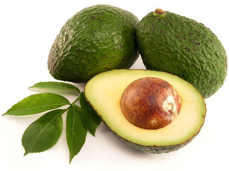 Avocado