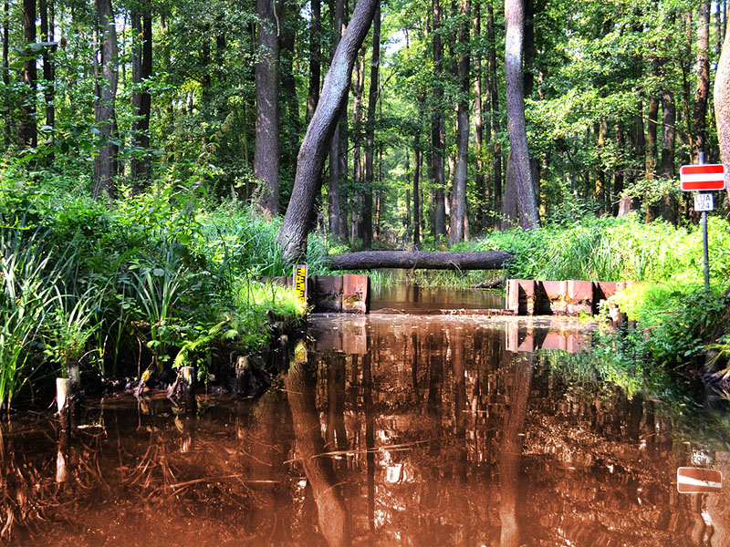Spreewald-Fließe