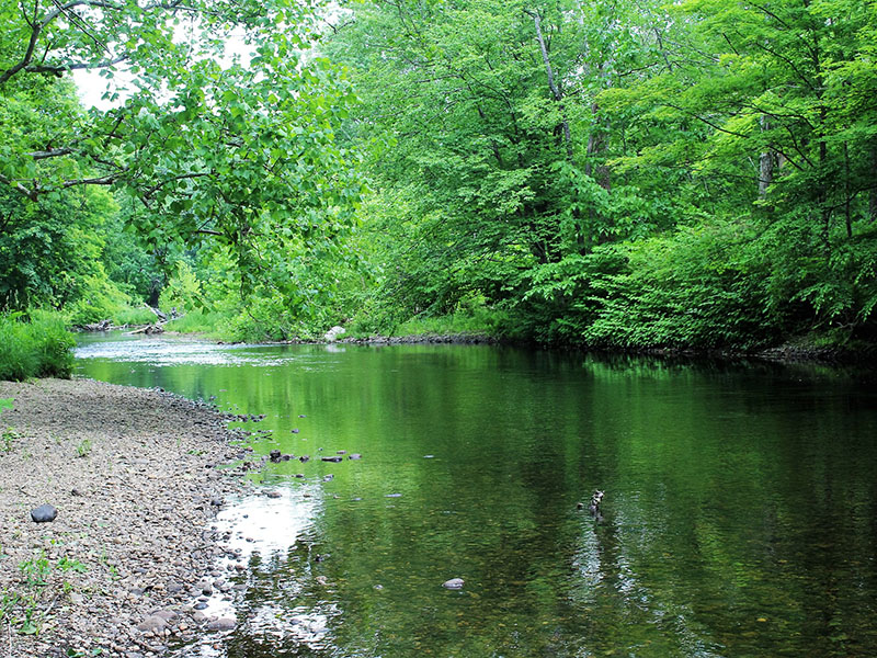 Bachlauf