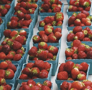 Frucht