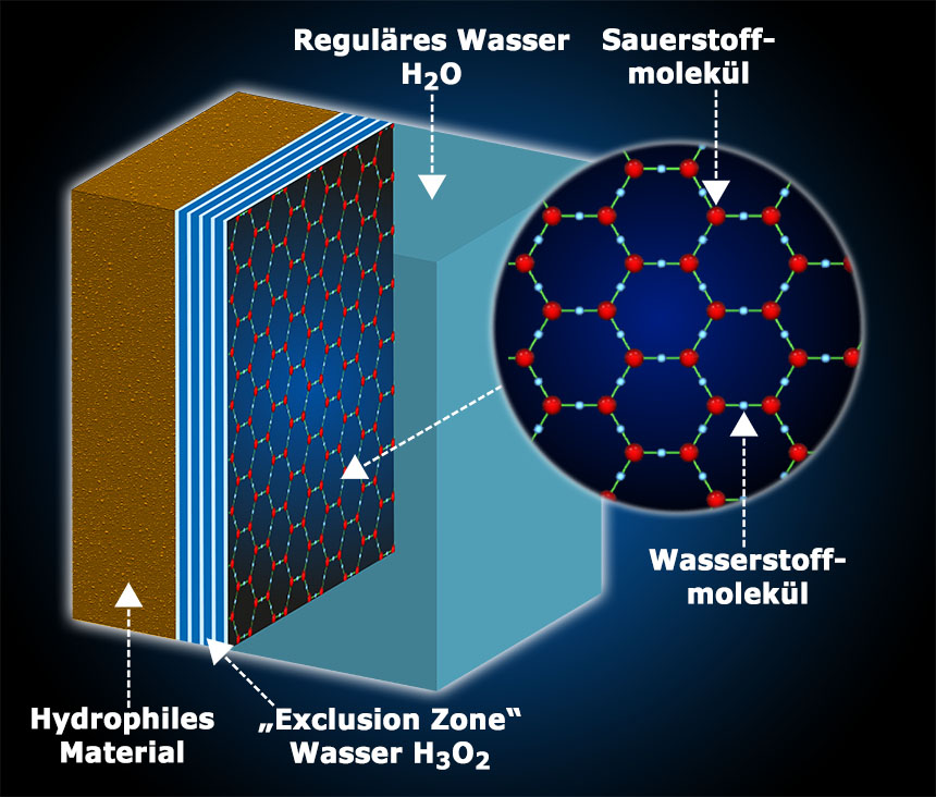 ez-water-WTO